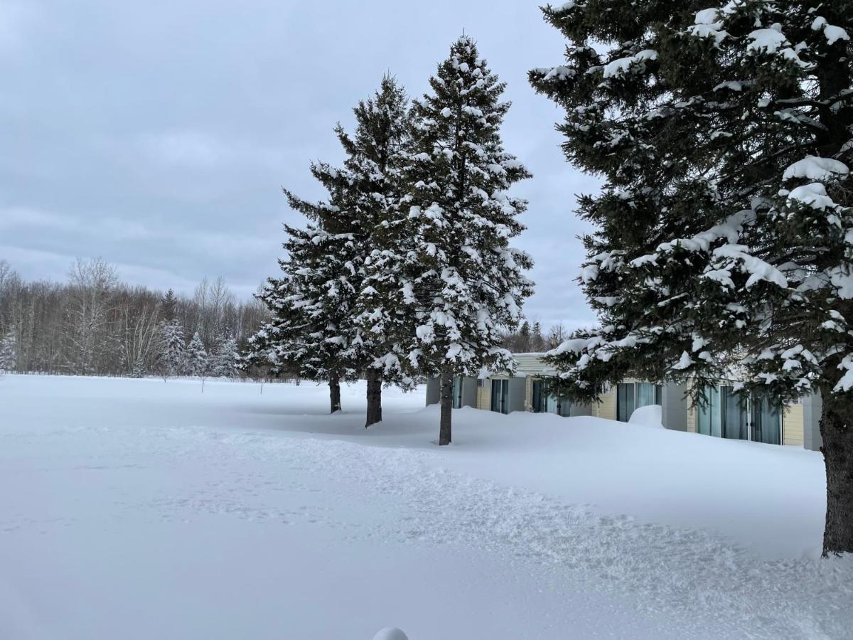 Ambassador Motel Sault Ste. Marie Eksteriør bilde